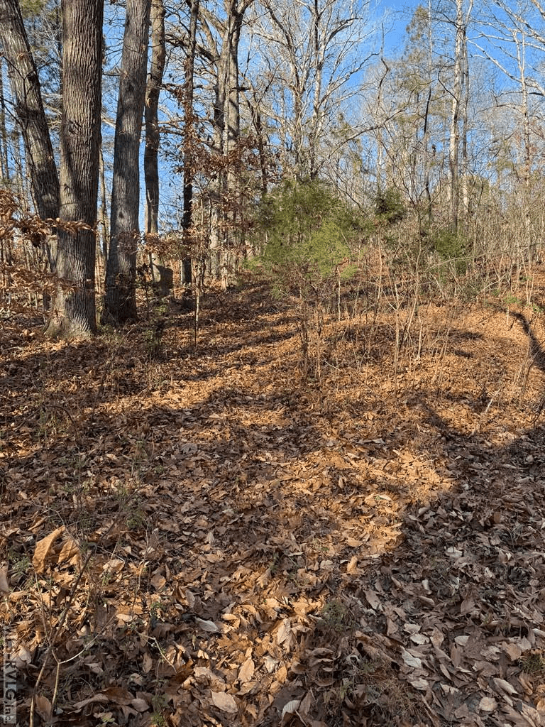00 Matthews Drive, Henderson NC 27537 photo 14
