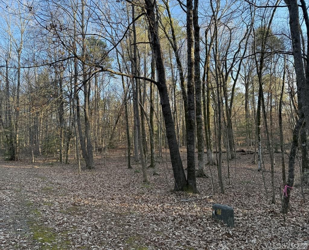 0 Woodland Rd, Littleton NC 27850 photo 2