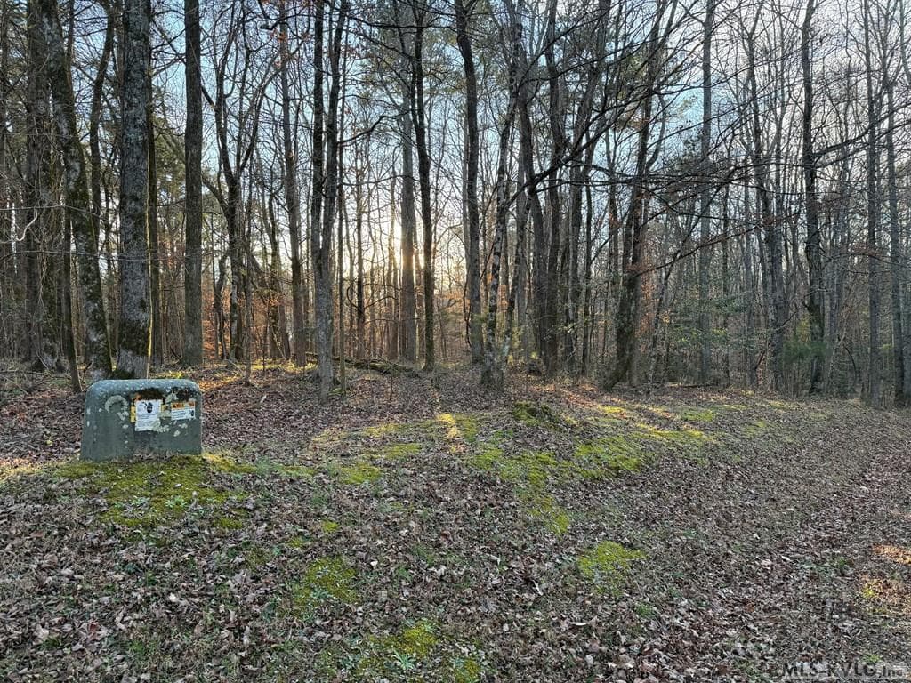 0 Woodland Rd, Littleton NC 27850 photo 6