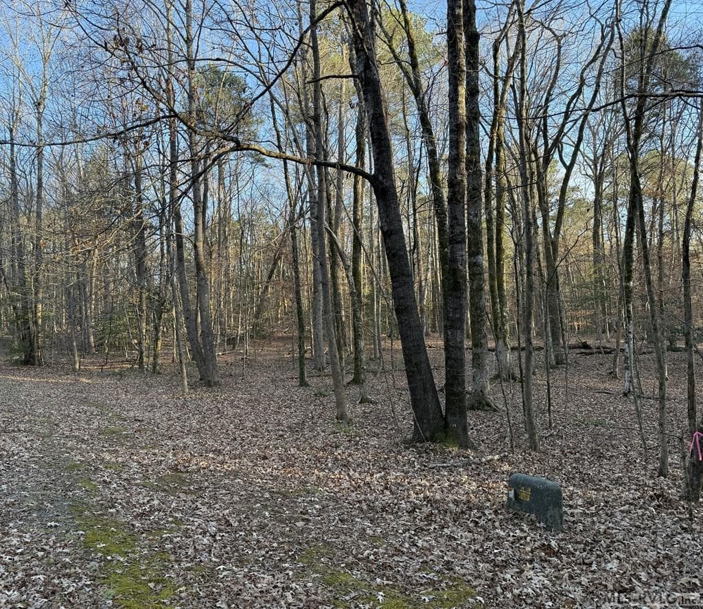0 Woodland Rd, Littleton NC 27850 photo 3