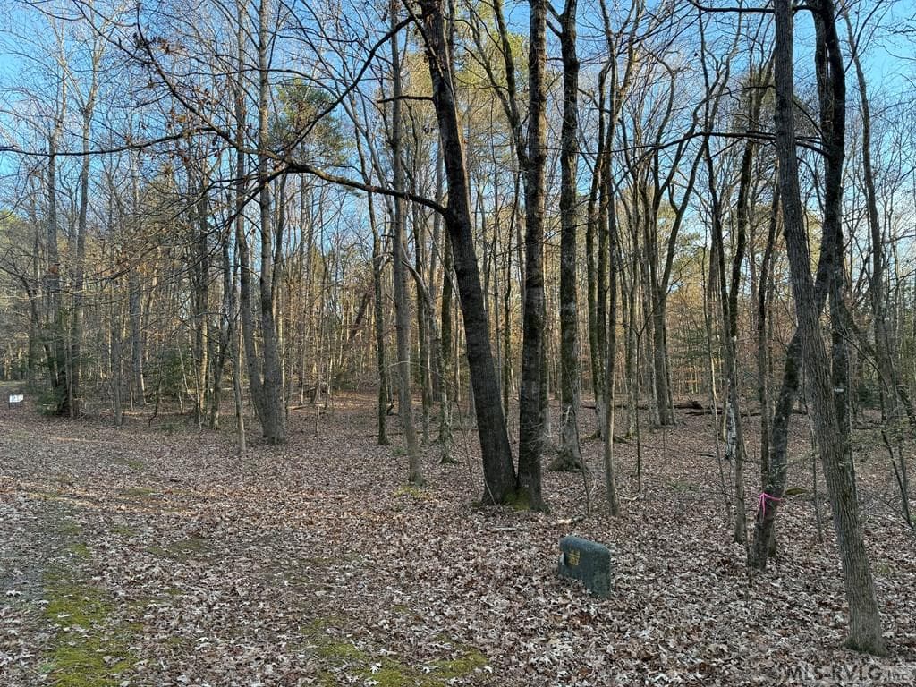 0 Woodland Rd, Littleton NC 27850 photo 9