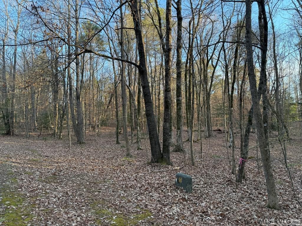 0 Woodland Rd, Littleton NC 27850 photo 10