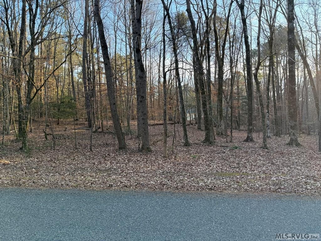 0 Woodland Rd, Littleton NC 27850 photo 4