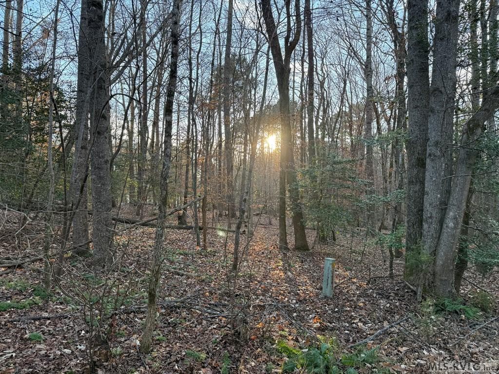 0 Woodland Rd, Littleton NC 27850 photo 8
