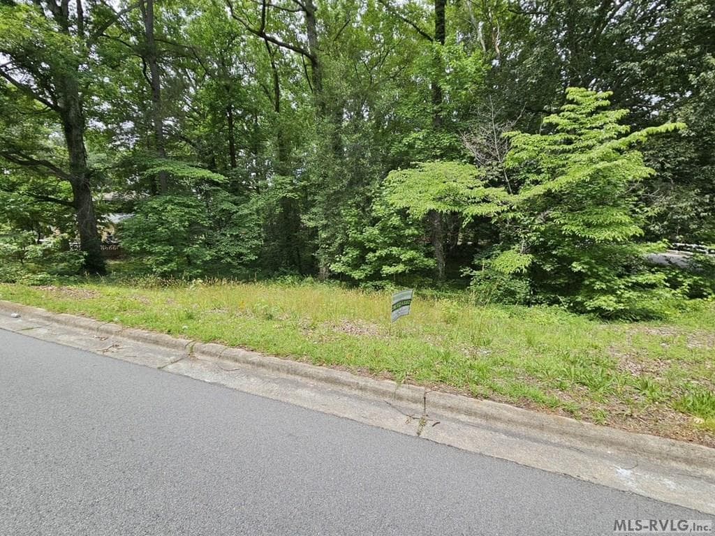 Lot 88R Old Farm Road, Roanoke Rapids NC 27870 photo 3