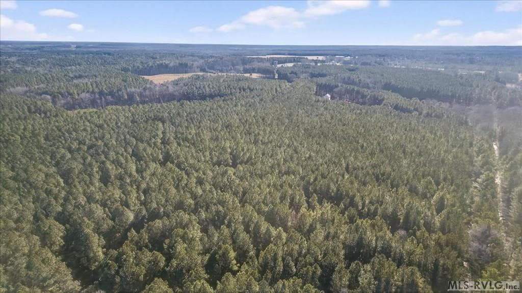 Acreage,Residential Lot-Restricted,Unimproved Land at 65 65 Granite Hall Dr, Boydton VA 23917, Boydton, photo 9 of 12
