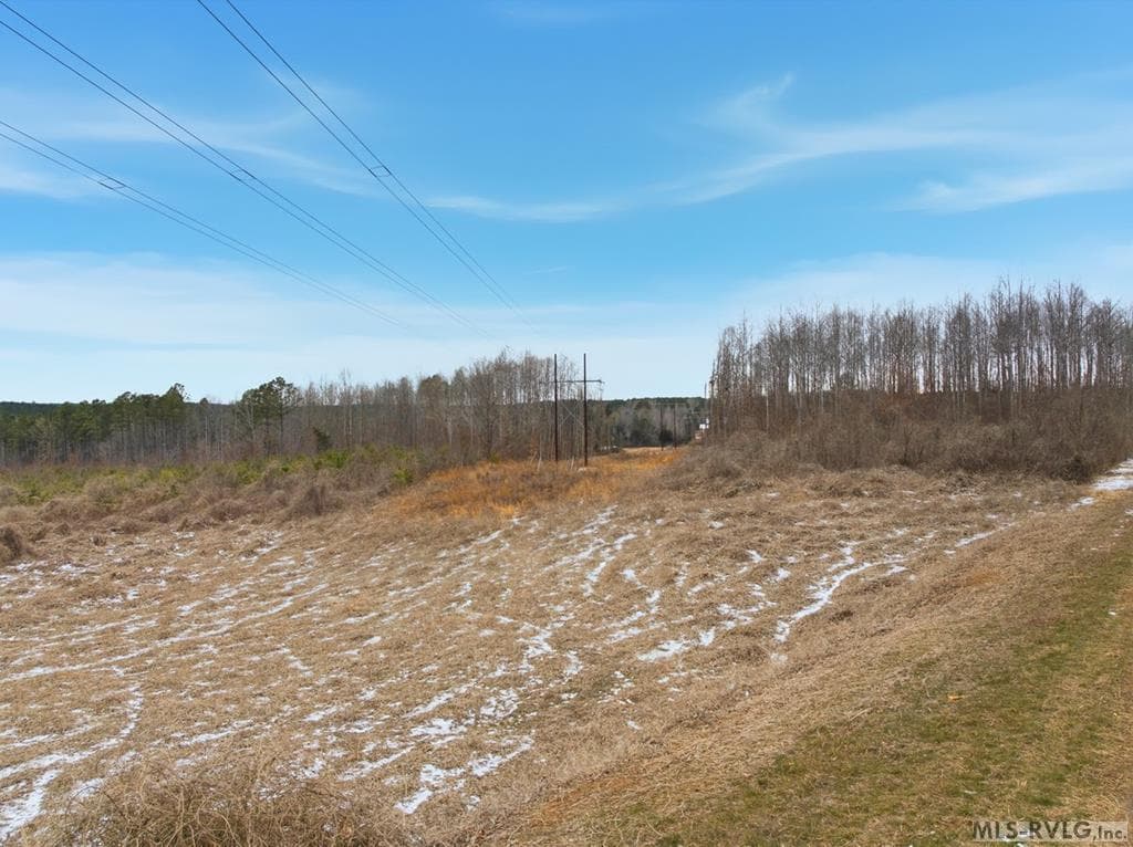 Acreage,Unimproved Land at 0 Evans Creek Road, Brodnax VA 23920, Brodnax, photo 6 of 22