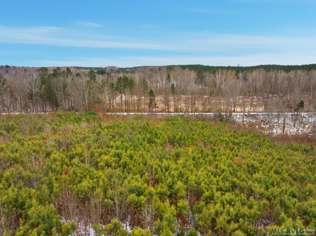Acreage,Unimproved Land at 0 Evans Creek Road, Brodnax VA 23920, Brodnax, photo 13 of 22