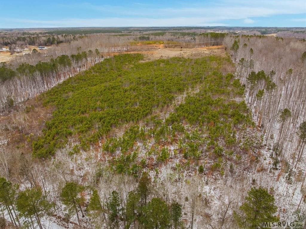 Acreage,Unimproved Land at 0 Evans Creek Road, Brodnax VA 23920, Brodnax, photo 16 of 22