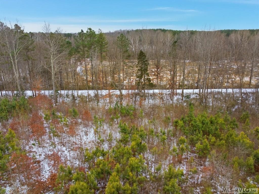 Acreage,Unimproved Land at 0 Evans Creek Road, Brodnax VA 23920, Brodnax, photo 12 of 22