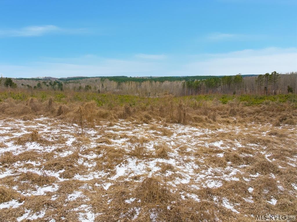 Acreage,Unimproved Land at 0 Evans Creek Road, Brodnax VA 23920, Brodnax, photo 3 of 22