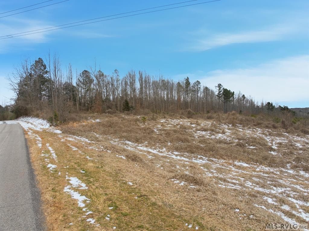 Acreage,Unimproved Land at 0 Evans Creek Road, Brodnax VA 23920, Brodnax, photo 5 of 22