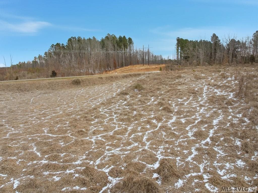 Acreage,Unimproved Land at 0 Evans Creek Road, Brodnax VA 23920, Brodnax, photo 9 of 22