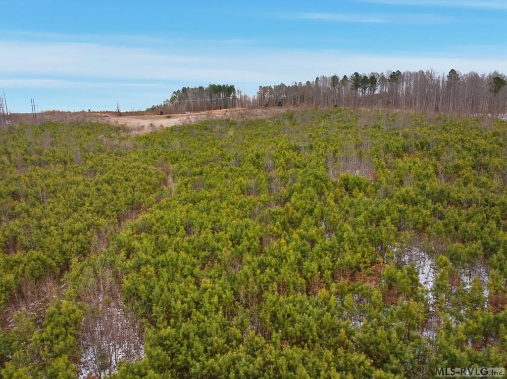 Acreage,Unimproved Land at 0 Evans Creek Road, Brodnax VA 23920, Brodnax, photo 14 of 22