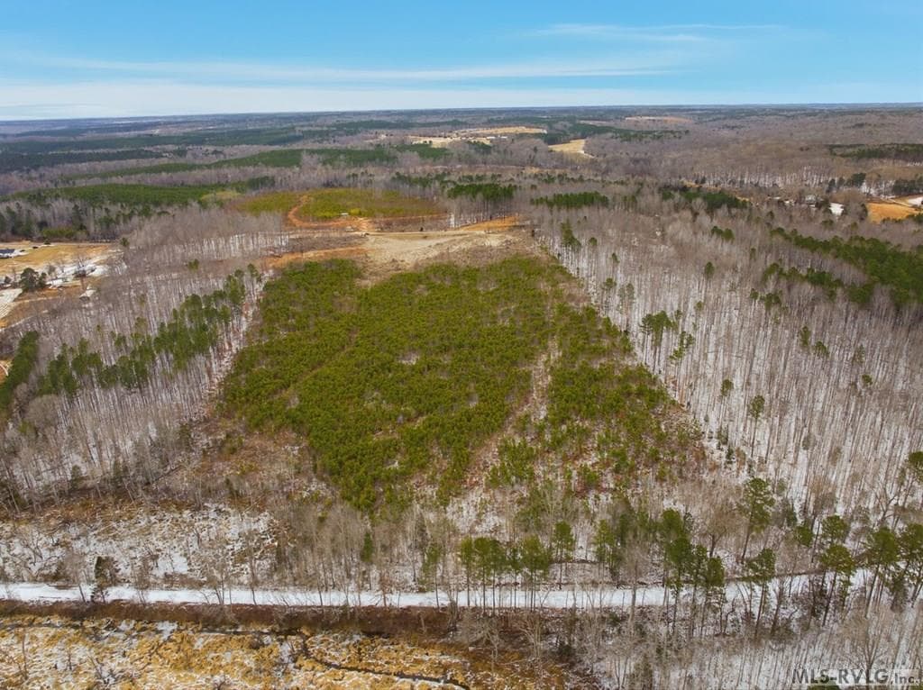 Acreage,Unimproved Land at 0 Evans Creek Road, Brodnax VA 23920, Brodnax, photo 18 of 22