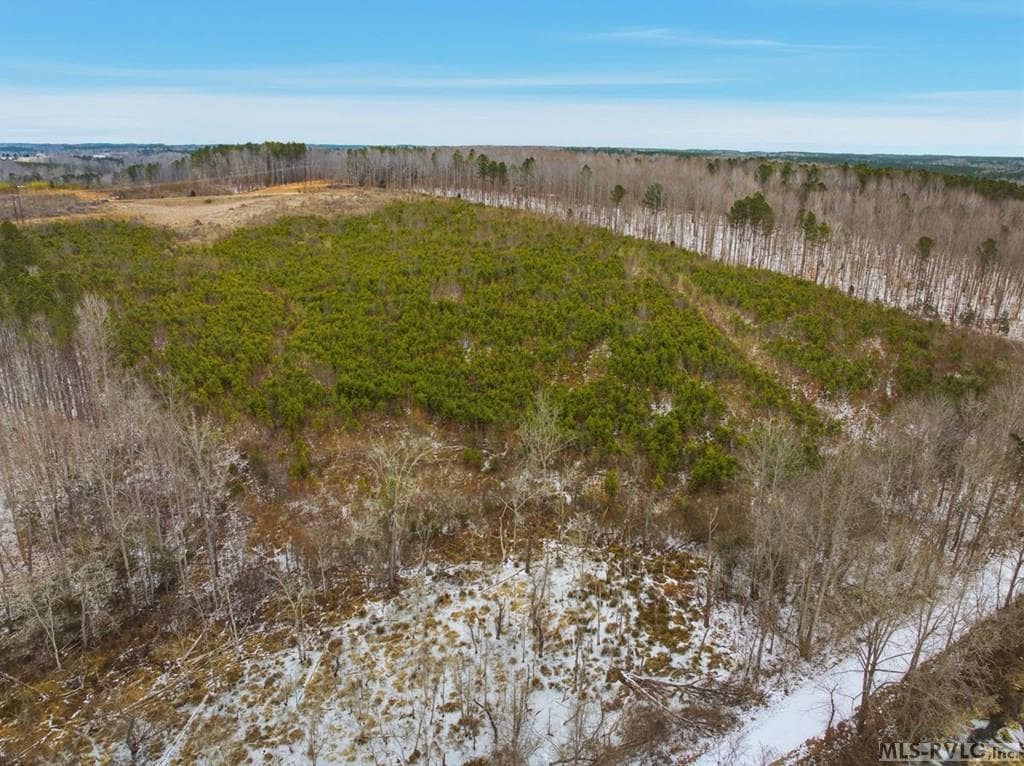 Acreage,Unimproved Land at 0 Evans Creek Road, Brodnax VA 23920, Brodnax, photo 15 of 22
