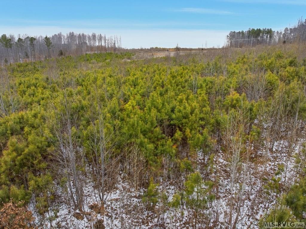 Acreage,Unimproved Land at 0 Evans Creek Road, Brodnax VA 23920, Brodnax, photo 11 of 22