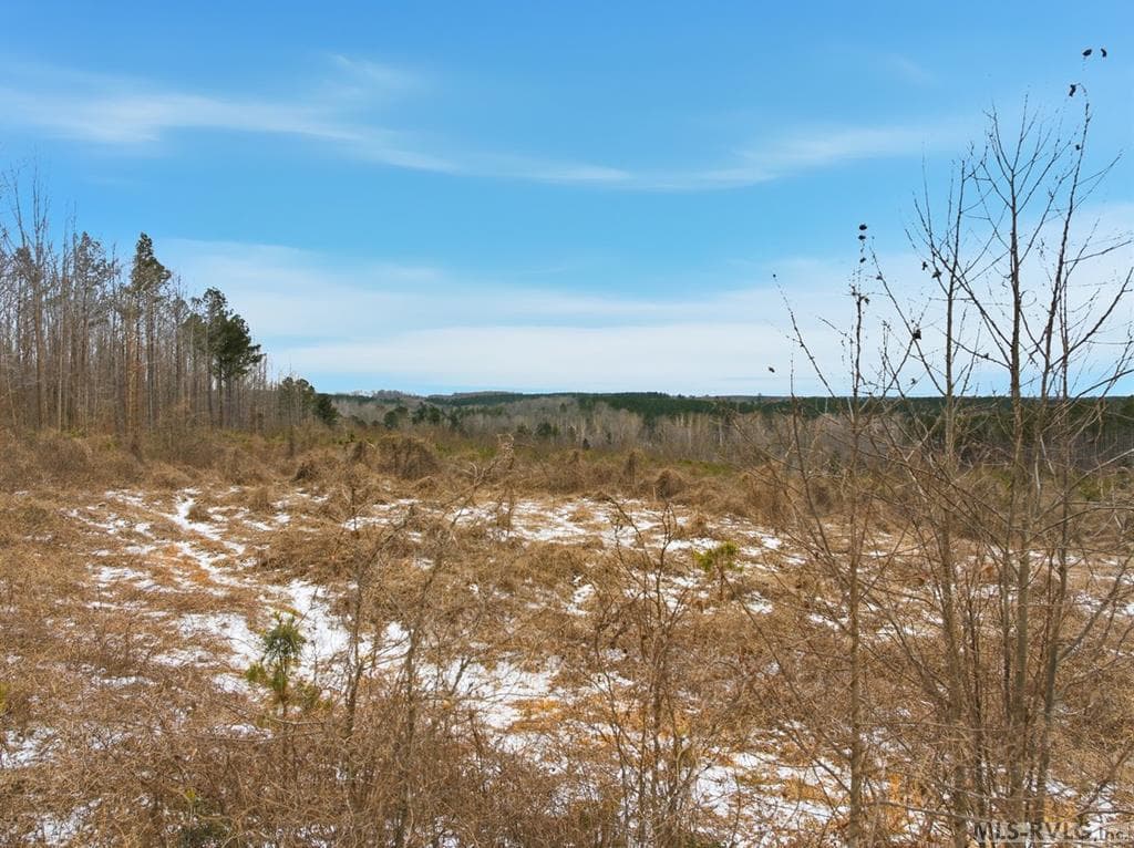 Acreage,Unimproved Land at 0 Evans Creek Road, Brodnax VA 23920, Brodnax, photo 4 of 22