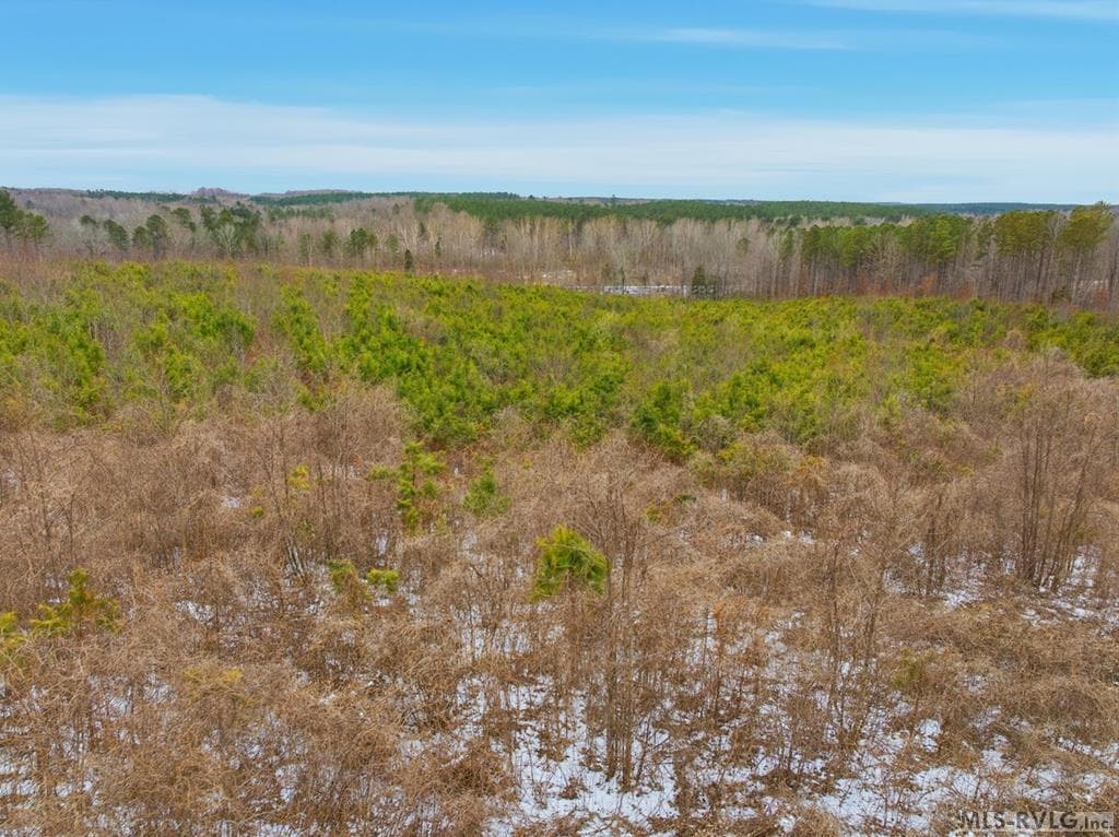 Acreage,Unimproved Land at 0 Evans Creek Road, Brodnax VA 23920, Brodnax, photo 8 of 22