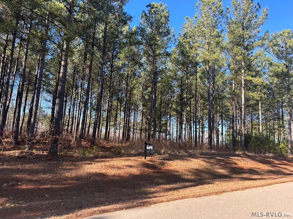 Road front Pinnacle Shores Dr