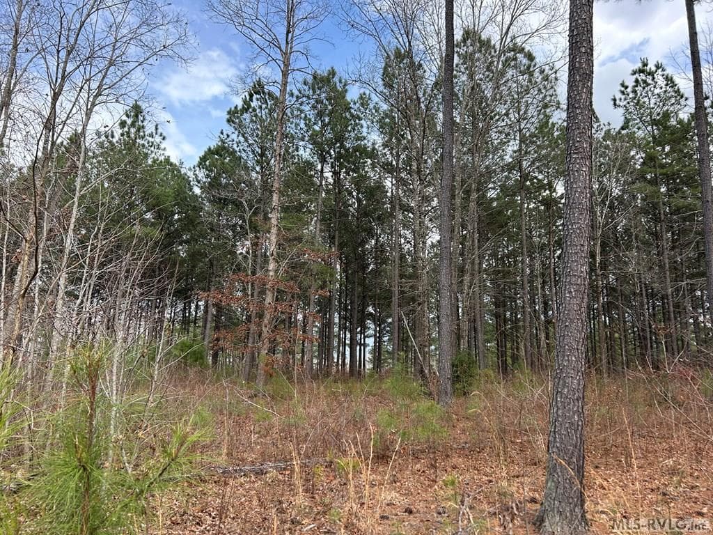 141 Sail View Ln, Macon NC 27551 photo 6