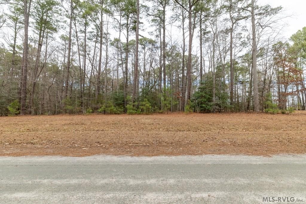 TBD Bell Street/ George Street, Macon NC 27551 photo 2