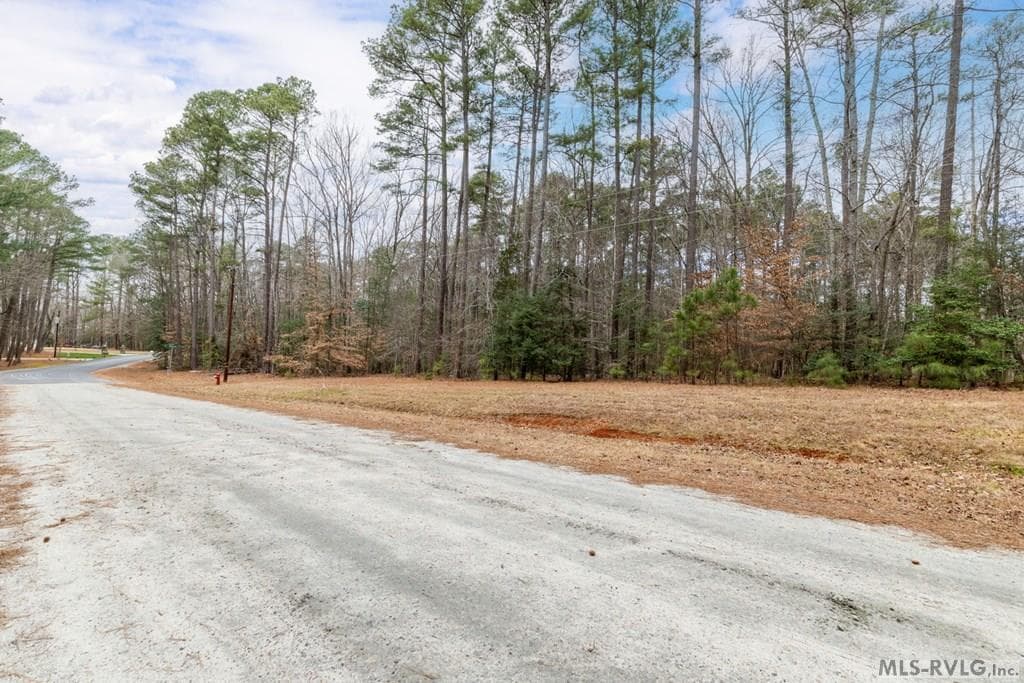 TBD Bell Street/ George Street, Macon NC 27551 photo 26