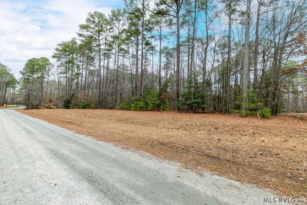 TBD Bell Street/ George Street, Macon NC 27551 photo 25