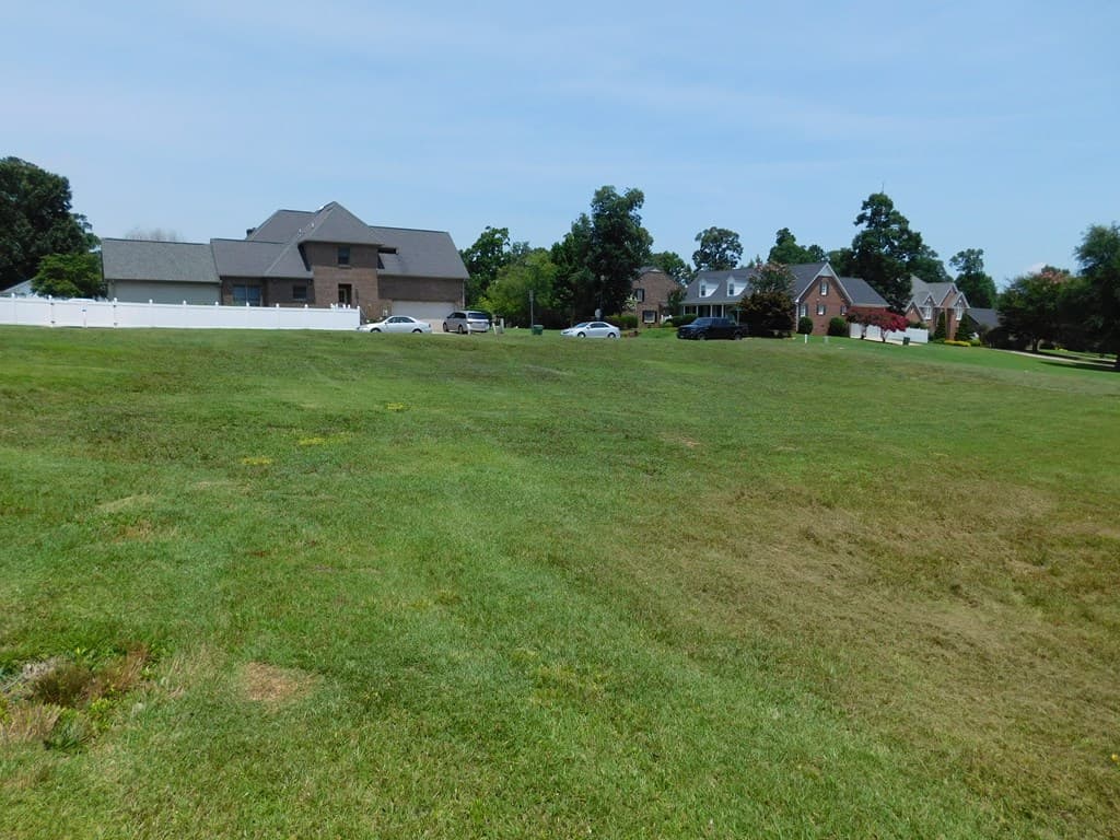 from back of lot looking toward street