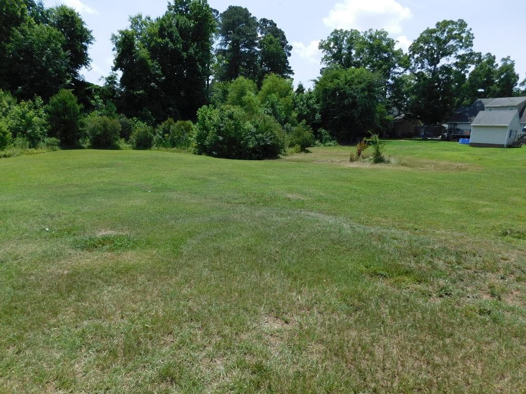 0 Chestnut Street, Roanoke Rapids NC 27870