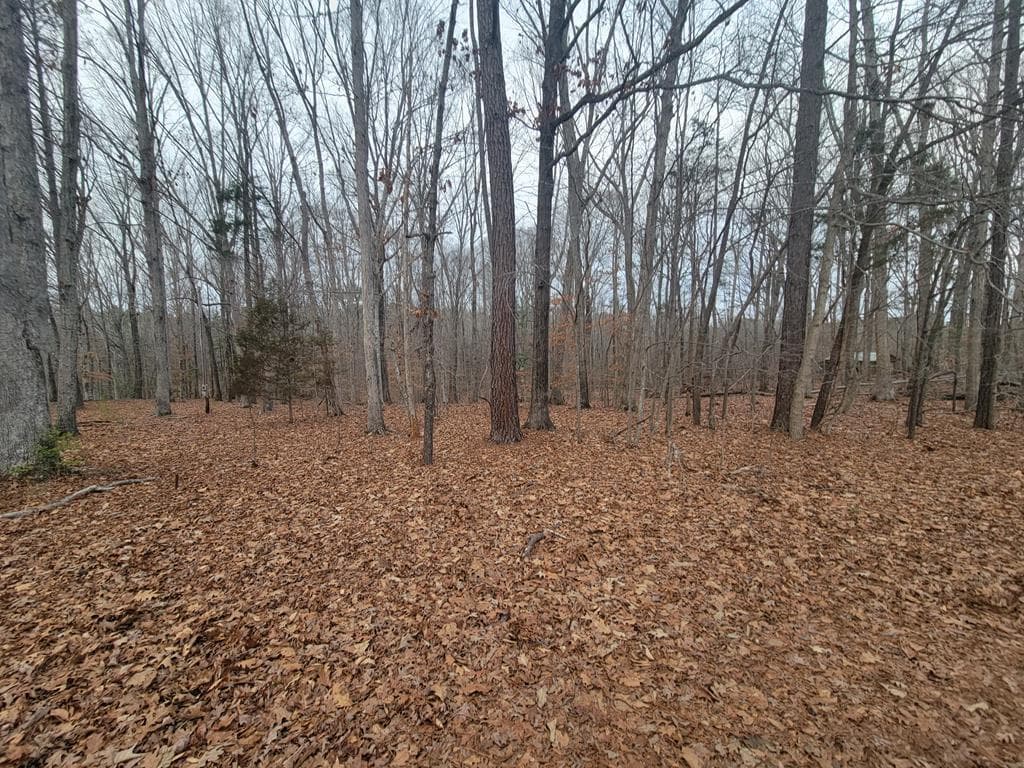 add. lot view