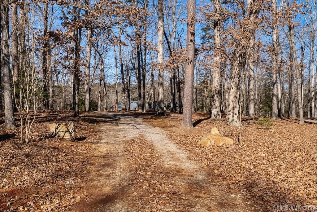 47 Chanco Drive, Ebony VA 23845 photo 8