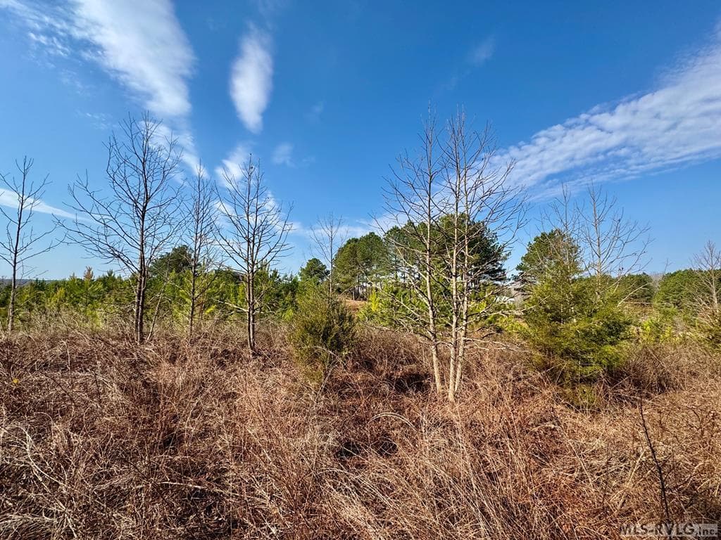 Back - Lot 21 Belle Grove Drive, Clarksville VA 23927, Clarksville