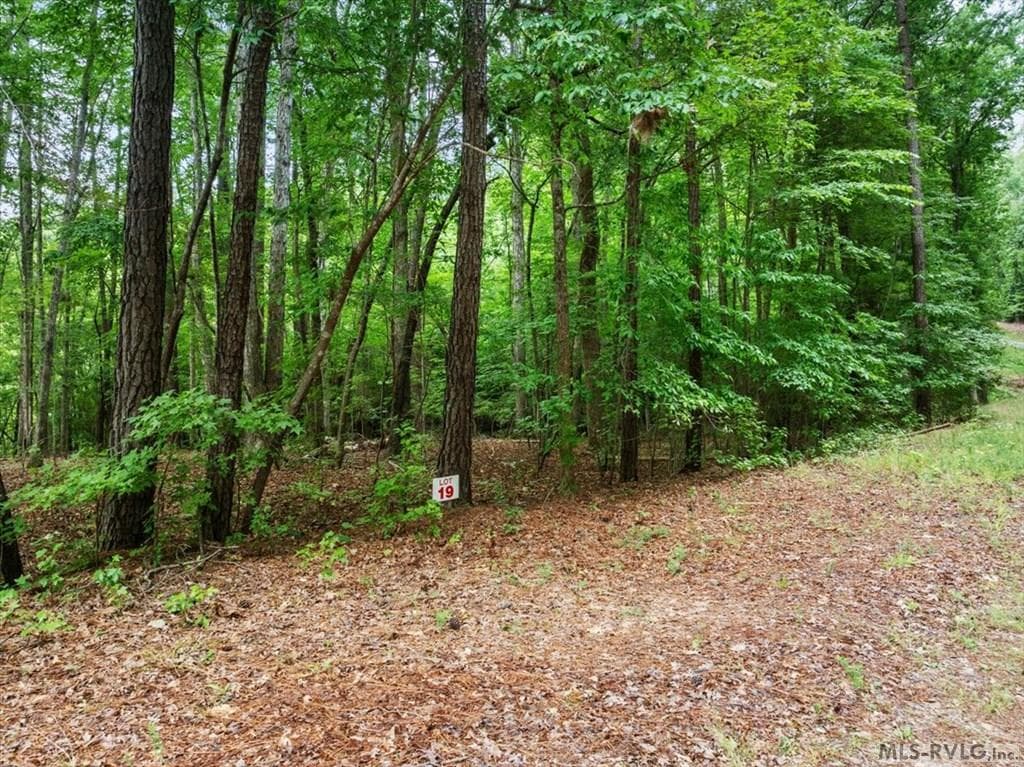 Lot 19 Woodlandhurst Road, Littleton NC 27850 photo 6
