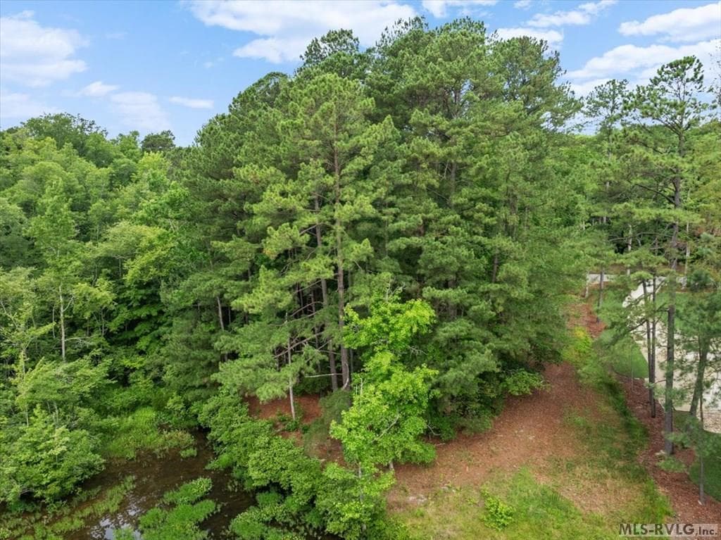 Lot 19 Woodlandhurst Road, Littleton NC 27850 photo 4