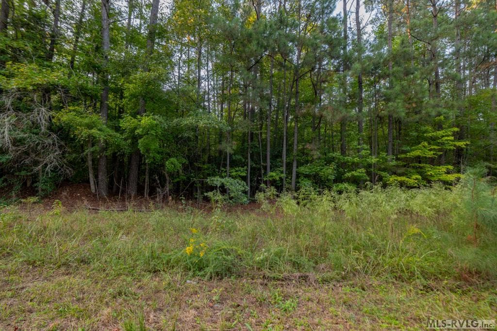 Acreage,Residential Lot-Restricted,Unimproved Land at Lot 6 Lake Gaston Drive, Gasburg VA 23857, Gasburg, photo 2 of 4