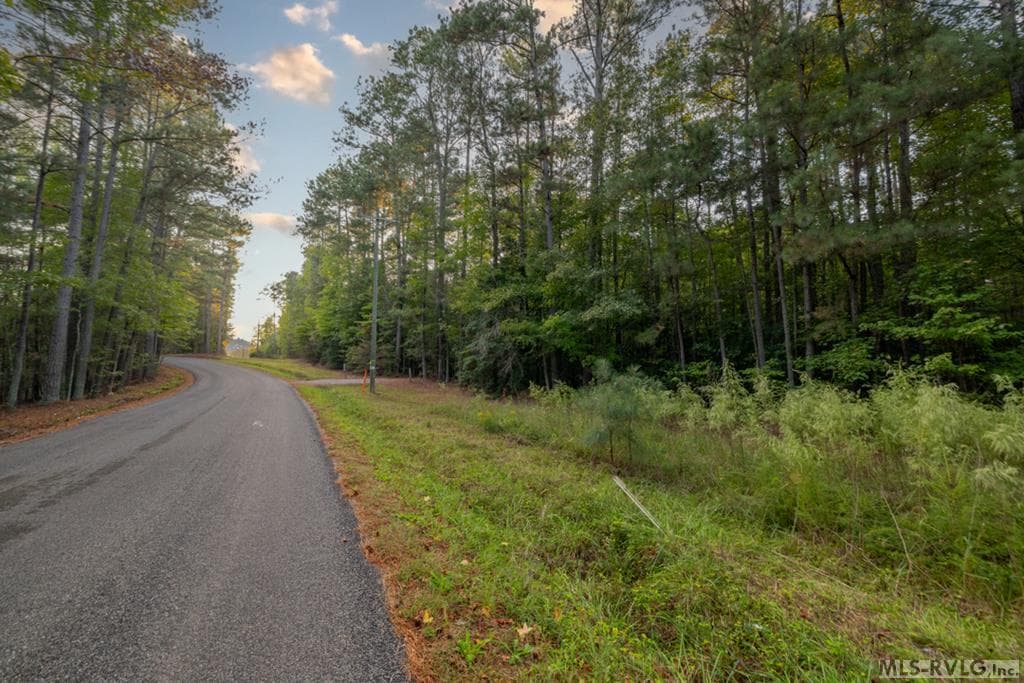 Acreage,Residential Lot-Restricted,Unimproved Land at Lot 6 Lake Gaston Drive, Gasburg VA 23857, Gasburg, photo 3 of 4