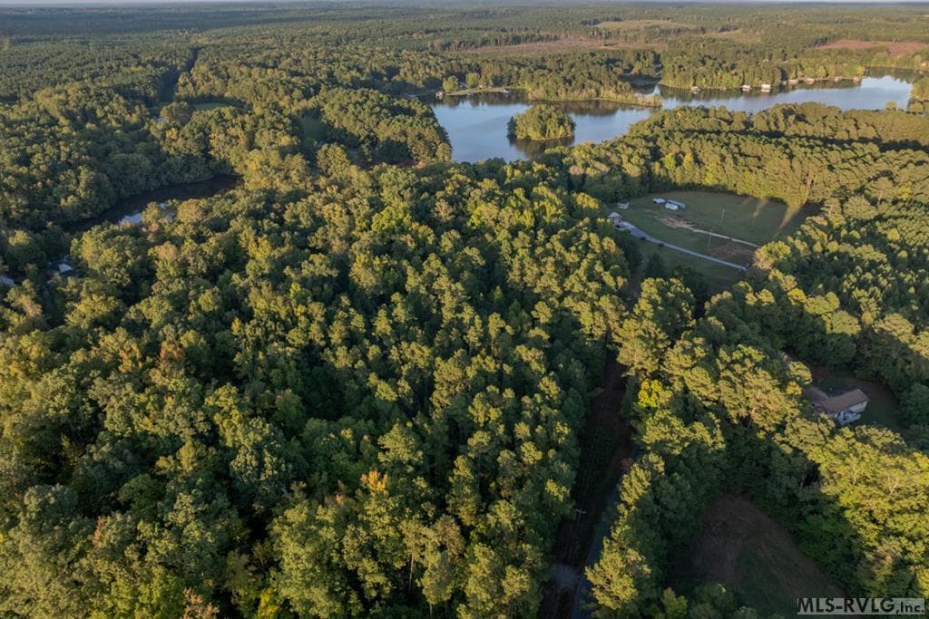 Acreage,Residential Lot-Restricted,Unimproved Land at Lot 6 Lake Gaston Drive, Gasburg VA 23857, Gasburg, photo 4 of 4