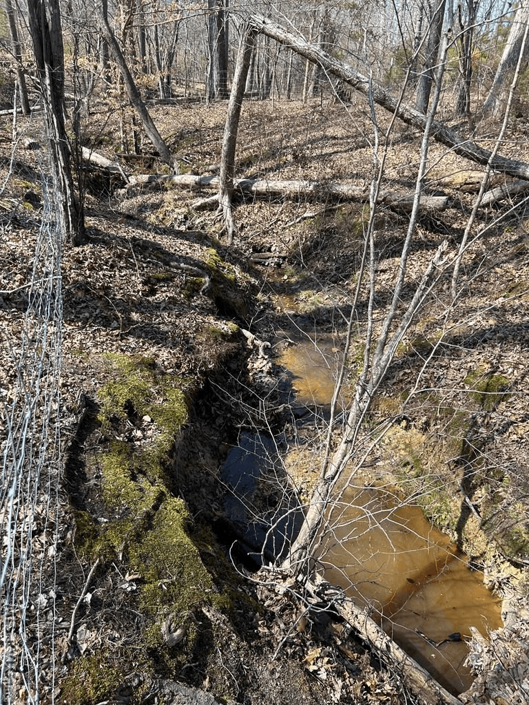 Acreage,Unimproved Land at 0000 Wightman Rd., Chase City VA 23924, Chase City, photo 2 of 7