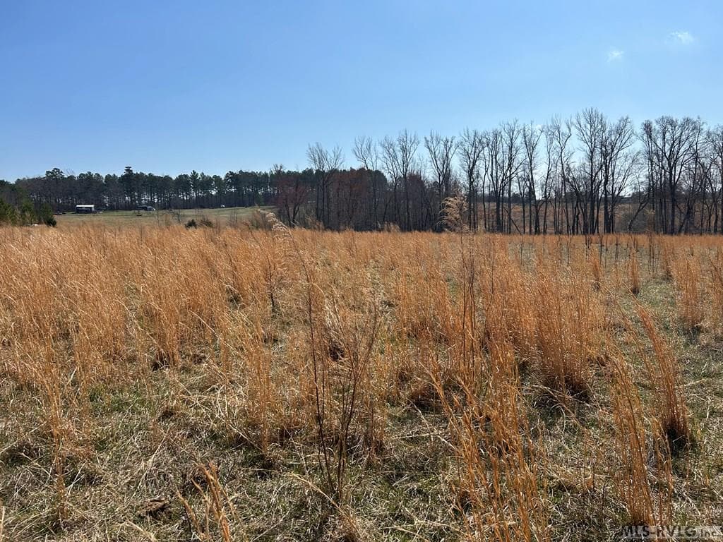 Acreage,Unimproved Land at 0000 Wightman Rd., Chase City VA 23924, Chase City, photo 3 of 7