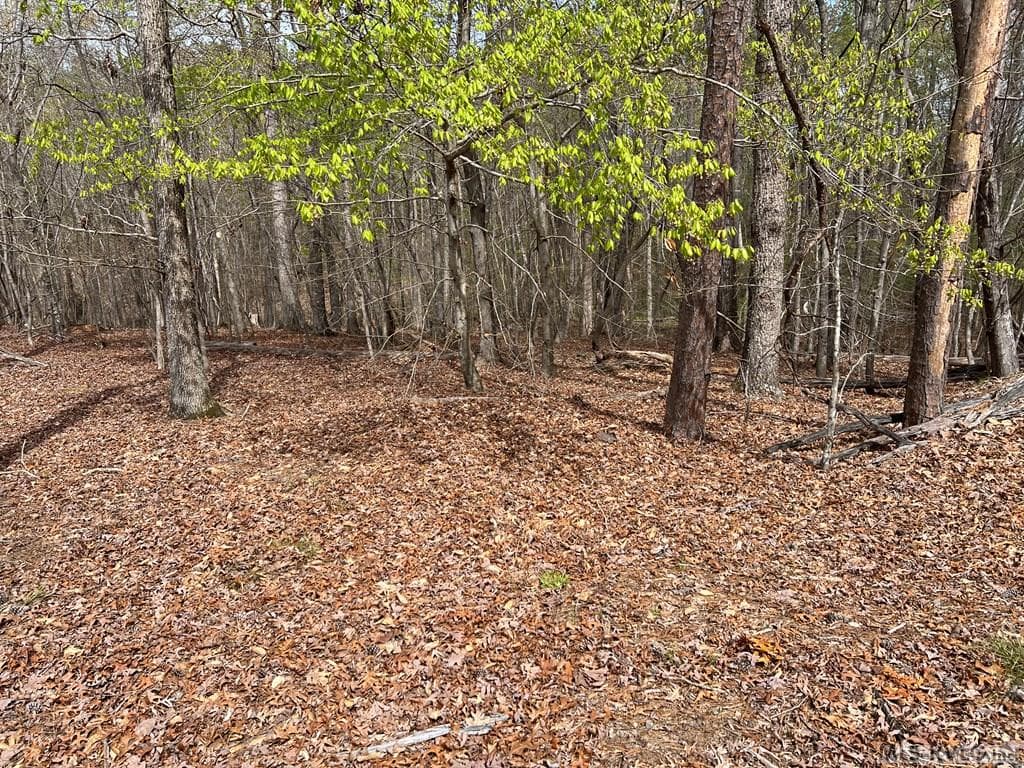 Gently Sloping Lot