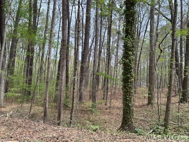 0 Forest Hills Dr, Littleton NC 27850 photo 6