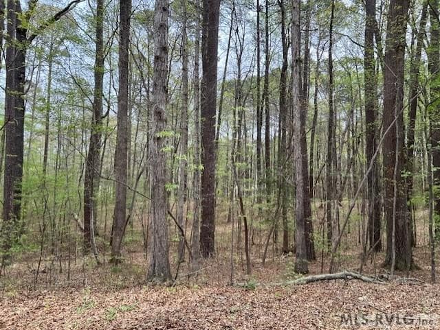 0 Forest Hills Dr, Littleton NC 27850 photo 7