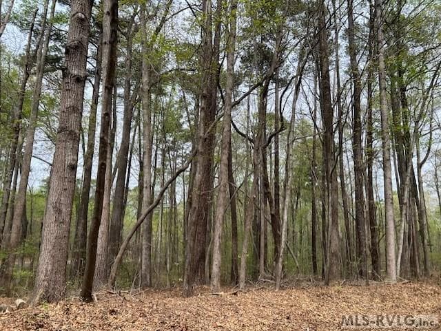 0 Forest Hills Dr, Littleton NC 27850 photo 3