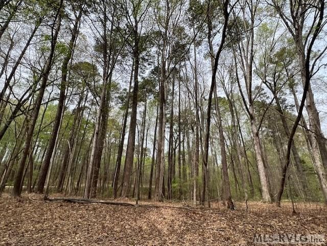 0 Forest Hills Dr, Littleton NC 27850 photo 5