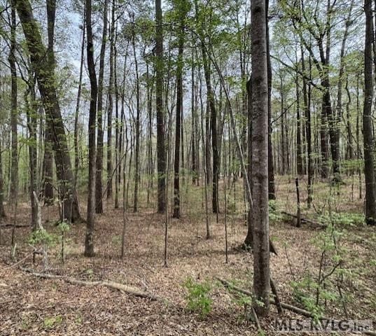 0 Forest Hills Dr, Littleton NC 27850 photo 20