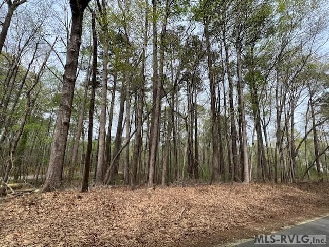 0 Forest Hills Dr, Littleton NC 27850 photo 4