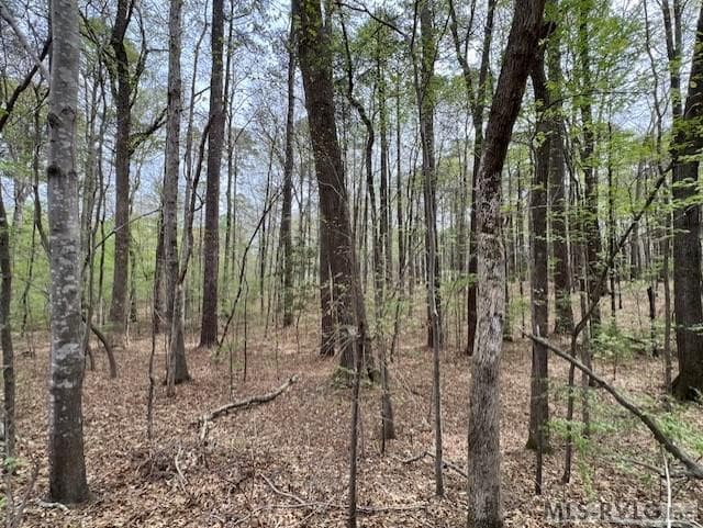 0 Forest Hills Dr, Littleton NC 27850 photo 8