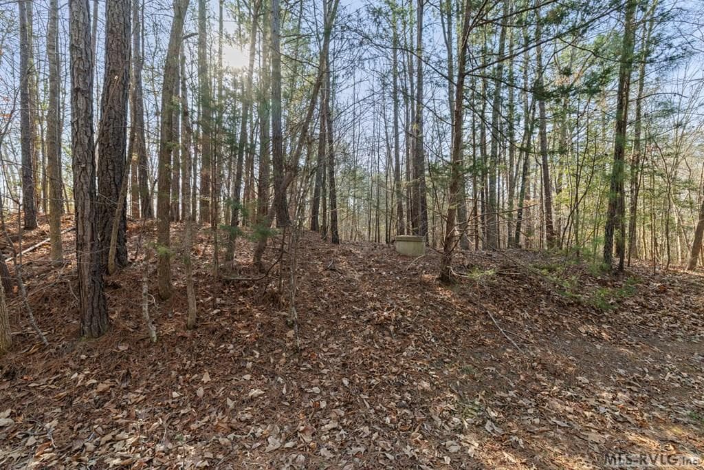Residential Lot-Restricted,Unimproved Land at LOT 47 Buckhead Drive, Bracey VA 23919, Bracey, photo 23 of 25