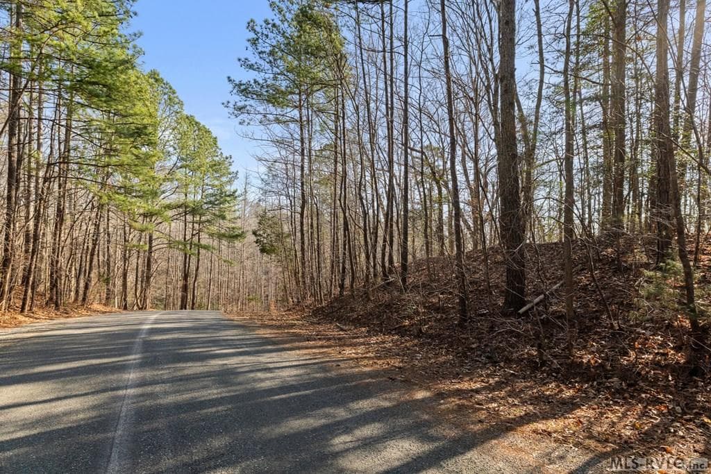 Residential Lot-Restricted,Unimproved Land at LOT 47 Buckhead Drive, Bracey VA 23919, Bracey, photo 24 of 25